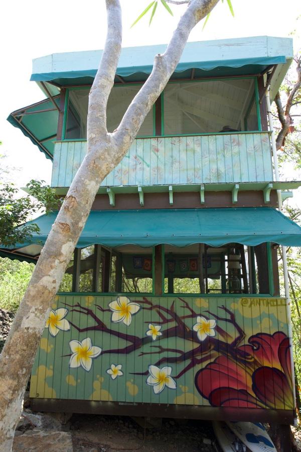 Tree of Life cottage